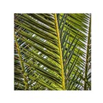 Palm Fronds Palm Palm Leaf Plant Small Satin Scarf (Square) Front