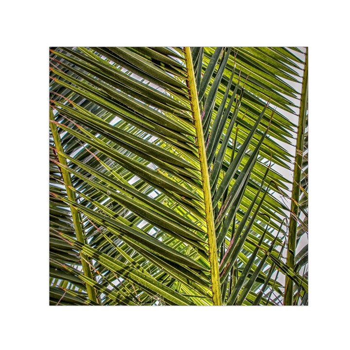 Palm Fronds Palm Palm Leaf Plant Small Satin Scarf (Square)