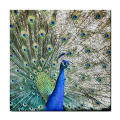 Peacock Bird Colorful Plumage Tile Coasters by Wegoenart