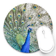 Peacock Bird Colorful Plumage Round Mousepads by Wegoenart