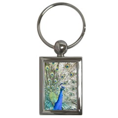 Peacock Bird Colorful Plumage Key Chains (rectangle)  by Wegoenart