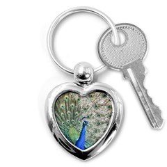 Peacock Bird Colorful Plumage Key Chains (heart)  by Wegoenart