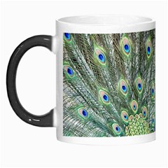 Peacock Bird Colorful Plumage Morph Mugs by Wegoenart