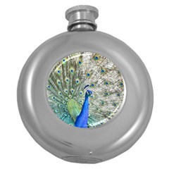 Peacock Bird Colorful Plumage Round Hip Flask (5 Oz) by Wegoenart