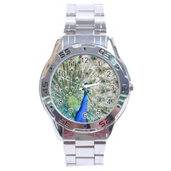 Peacock Bird Colorful Plumage Stainless Steel Analogue Watch by Wegoenart