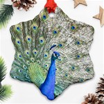 Peacock Bird Colorful Plumage Snowflake Ornament (Two Sides) Front