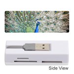 Peacock Bird Colorful Plumage Memory Card Reader (Stick) Front