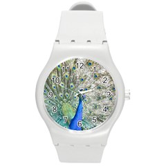 Peacock Bird Colorful Plumage Round Plastic Sport Watch (m) by Wegoenart