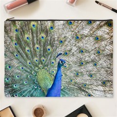 Peacock Bird Colorful Plumage Cosmetic Bag (xxxl) by Wegoenart