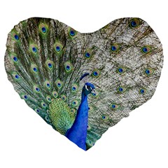 Peacock Bird Colorful Plumage Large 19  Premium Heart Shape Cushions by Wegoenart