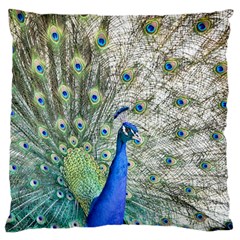 Peacock Bird Colorful Plumage Large Flano Cushion Case (two Sides) by Wegoenart