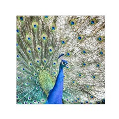 Peacock Bird Colorful Plumage Small Satin Scarf (square) by Wegoenart