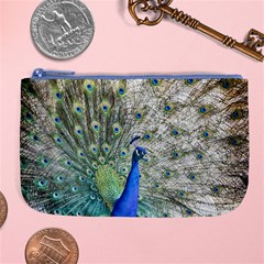 Peacock Bird Colorful Plumage Large Coin Purse by Wegoenart