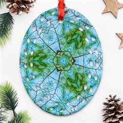 Forest Kaleidoscope Pattern Ornament (oval Filigree) by Wegoenart