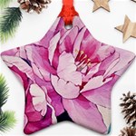 Art Painting Flowers Peonies Pink Ornament (Star) Front