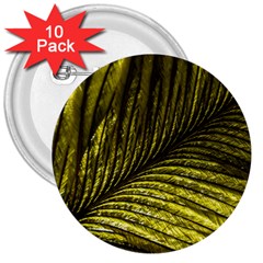 Feather Macro Bird Plumage Nature 3  Buttons (10 Pack)  by Wegoenart