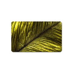 Feather Macro Bird Plumage Nature Magnet (name Card) by Wegoenart