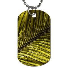 Feather Macro Bird Plumage Nature Dog Tag (one Side) by Wegoenart