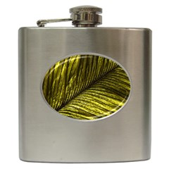 Feather Macro Bird Plumage Nature Hip Flask (6 Oz)