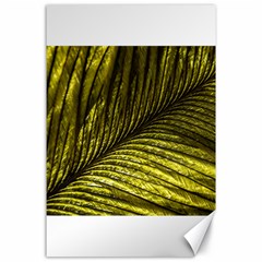 Feather Macro Bird Plumage Nature Canvas 24  X 36  by Wegoenart