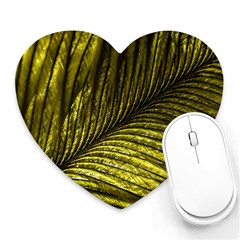 Feather Macro Bird Plumage Nature Heart Mousepads by Wegoenart