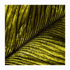 Feather Macro Bird Plumage Nature Medium Glasses Cloth (2-side) by Wegoenart