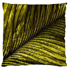 Feather Macro Bird Plumage Nature Large Cushion Case (two Sides) by Wegoenart