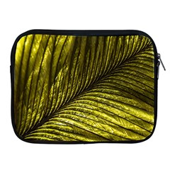 Feather Macro Bird Plumage Nature Apple Ipad 2/3/4 Zipper Cases by Wegoenart