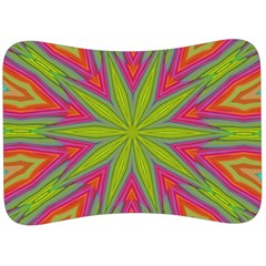 Abstract Art Abstract Background Velour Seat Head Rest Cushion