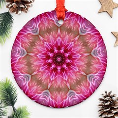 Flower Mandala Art Pink Abstract Round Ornament (two Sides) by Wegoenart