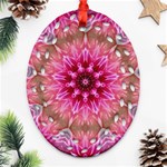 Flower Mandala Art Pink Abstract Oval Filigree Ornament (Two Sides) Back