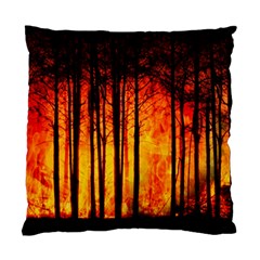 Forest Fire Forest Climate Change Standard Cushion Case (one Side)