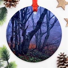 Beeches Autumn Foliage Forest Tree Ornament (round) by Wegoenart