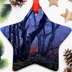 Beeches Autumn Foliage Forest Tree Star Ornament (two Sides) by Wegoenart