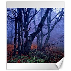 Beeches Autumn Foliage Forest Tree Canvas 8  X 10  by Wegoenart