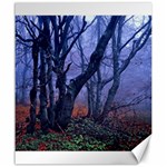 Beeches Autumn Foliage Forest Tree Canvas 20  x 24  19.57 x23.15  Canvas - 1