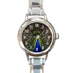 Peacock Bird Plumage Display Full Round Italian Charm Watch by Wegoenart