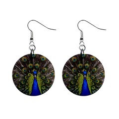 Peacock Bird Plumage Display Full Mini Button Earrings by Wegoenart