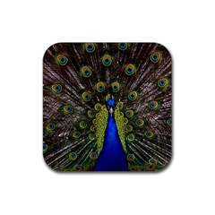 Peacock Bird Plumage Display Full Rubber Coaster (square)  by Wegoenart