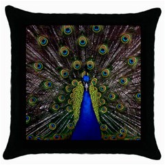 Peacock Bird Plumage Display Full Throw Pillow Case (black) by Wegoenart