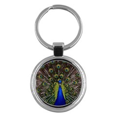 Peacock Bird Plumage Display Full Key Chains (round)  by Wegoenart