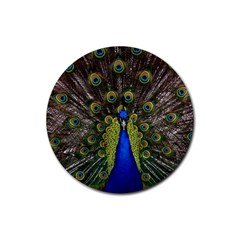 Peacock Bird Plumage Display Full Rubber Round Coaster (4 Pack)  by Wegoenart