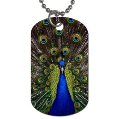 Peacock Bird Plumage Display Full Dog Tag (two Sides) by Wegoenart