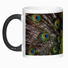 Peacock Bird Plumage Display Full Morph Mugs by Wegoenart