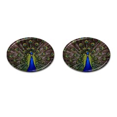 Peacock Bird Plumage Display Full Cufflinks (oval) by Wegoenart