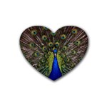 Peacock Bird Plumage Display Full Rubber Coaster (Heart)  Front