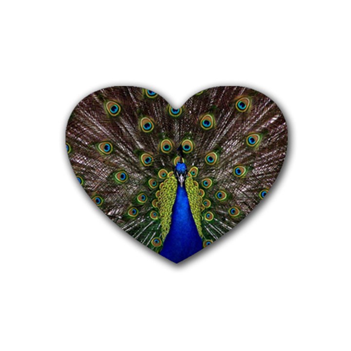 Peacock Bird Plumage Display Full Rubber Coaster (Heart) 