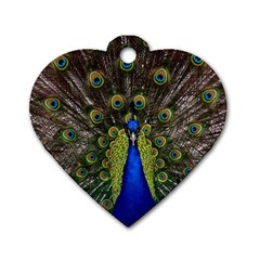 Peacock Bird Plumage Display Full Dog Tag Heart (one Side) by Wegoenart