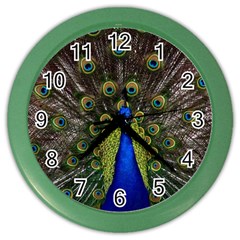 Peacock Bird Plumage Display Full Color Wall Clock by Wegoenart