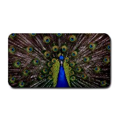 Peacock Bird Plumage Display Full Medium Bar Mats by Wegoenart